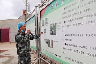 科技賦能，服務引領 技術推廣在脫貧攻堅與農民增收中的核心作用